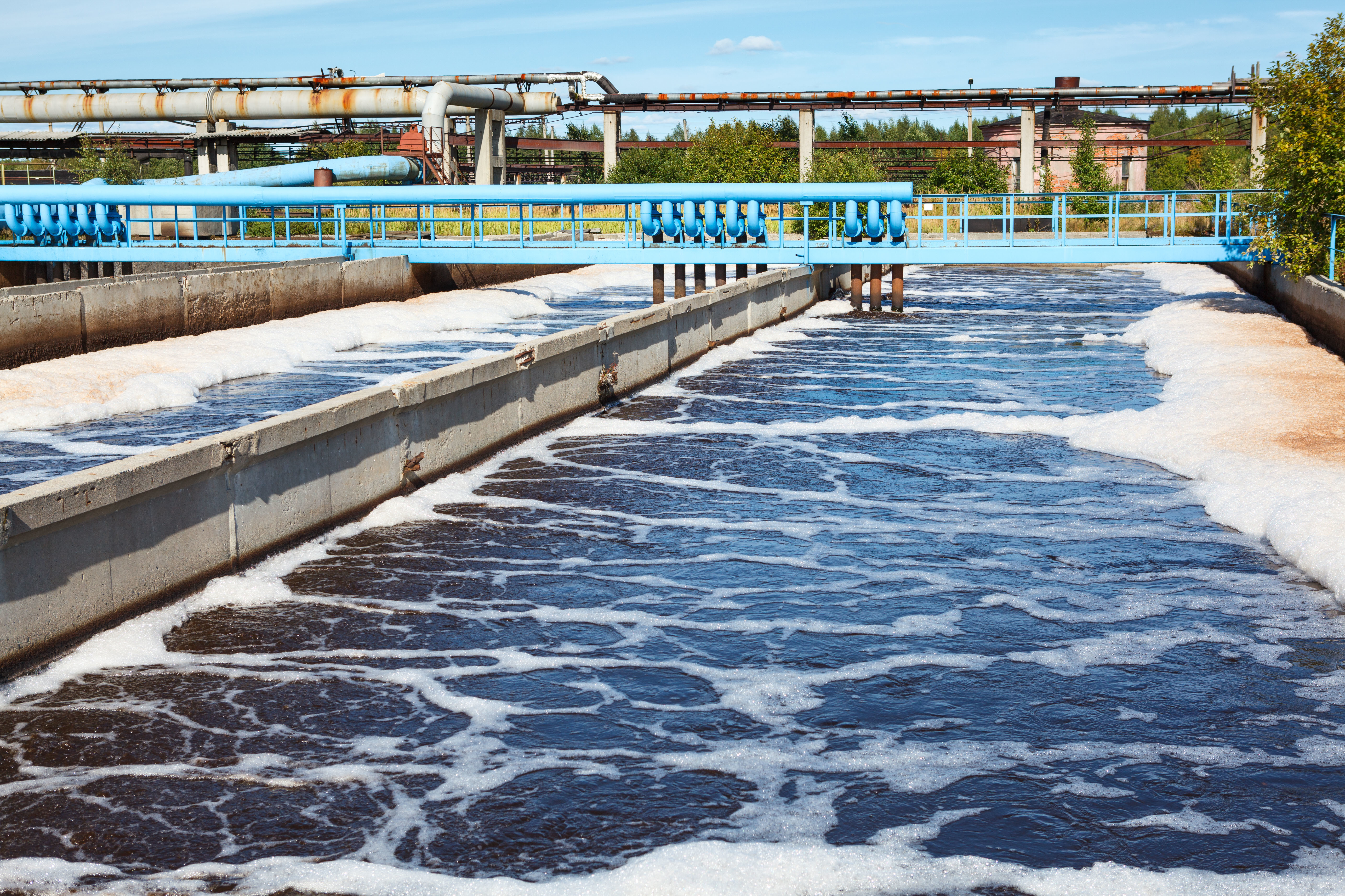 厌氧氨氧化除氨脱氮技术